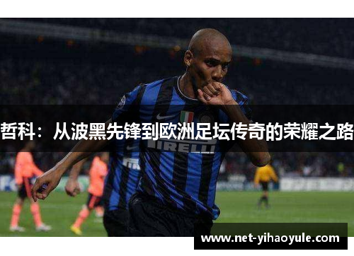 哲科：从波黑先锋到欧洲足坛传奇的荣耀之路