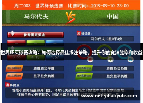 世界杯买球赛攻略：如何选择最佳投注策略，提升你的竞猜胜率和收益