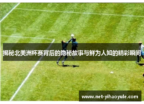 揭秘北美洲杯赛背后的隐秘故事与鲜为人知的精彩瞬间